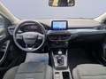 Ford Focus 1.0 EcoBoost Hybrid 125 CV 5p. Active Bianco - thumbnail 10