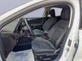 Ford Focus 1.0 EcoBoost Hybrid 125 CV 5p. Active Bianco - thumbnail 9