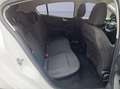 Ford Focus 1.0 EcoBoost Hybrid 125 CV 5p. Active Bianco - thumbnail 15
