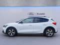 Ford Focus 1.0 EcoBoost Hybrid 125 CV 5p. Active Bianco - thumbnail 4