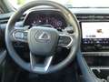 Lexus LBX FWD Cool mit Vollausstattung Levinson 1.Hand Rot - thumbnail 13