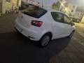 SEAT Ibiza 5p 1.4 tdi cr Business High 90cv - thumbnail 8