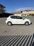 SEAT Ibiza 5p 1.4 tdi cr Business High 90cv - thumbnail 4