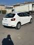 SEAT Ibiza 5p 1.4 tdi cr Business High 90cv - thumbnail 5