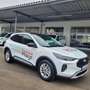 Ford Kuga Hybrid Active X Allrad Weiß - thumbnail 8