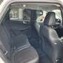 Ford Kuga Hybrid Active X Allrad Weiß - thumbnail 11