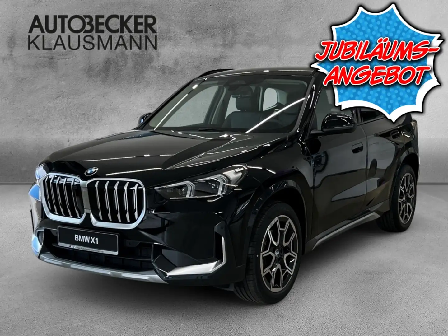 BMW X1 sDrive18i xLine LMR 19'' Park-Assistent Navi Digit Schwarz - 1