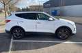 Hyundai SANTA FE Fé 2.2 CRDi 197 4WD Pack Premium Limited 7pl A Beyaz - thumbnail 3