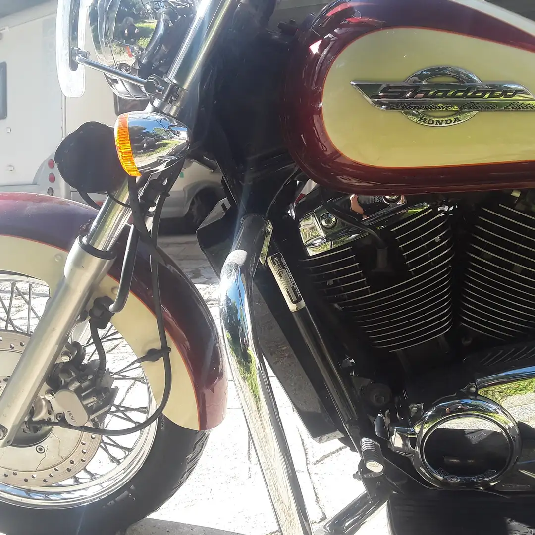 Honda VT 1100 Shadow VT 1100 C Mauve - 2