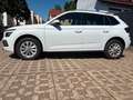Skoda Kamiq 110KW Drive,AHK,5J.Gar,Matrix LED,17Zoll Weiß - thumbnail 6