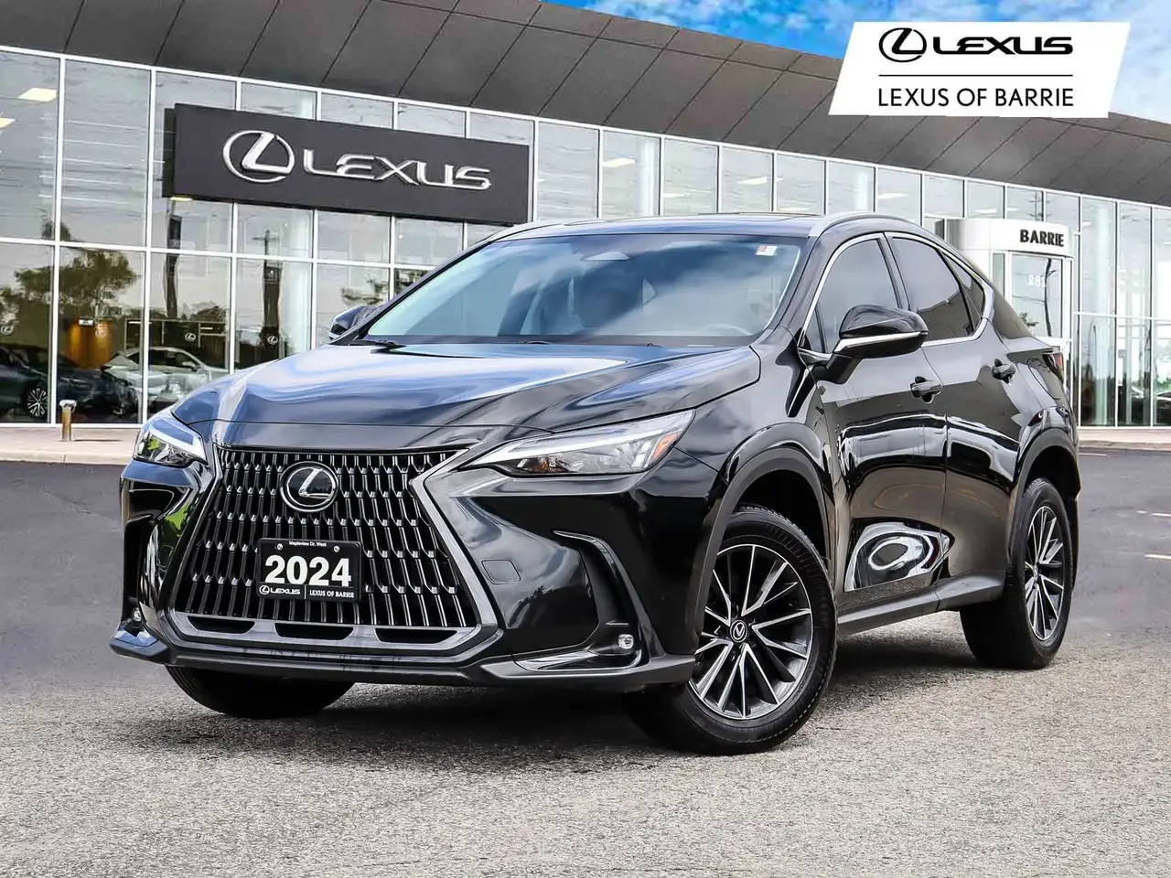 2024 Lexus NX
