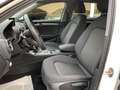 Audi A3 SPB 1.6 TDI 116 CV S Tronic Sport Bianco - thumbnail 10