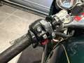 Triumph Thruxton Verde - thumbnail 9