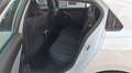 Opel Astra Astra VI 2022 1.2 t Edition s Weiß - thumbnail 7