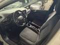 Ford Fiesta 1.1 75 CV GPL 5 porte Titanium Beige - thumbnail 3