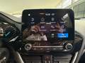 Ford Fiesta 1.1 75 CV GPL 5 porte Titanium Beige - thumbnail 10