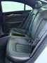 Mercedes-Benz CLS 250 CLS 250 CDII 4Matic AMG-Line 19Zoll H&K LED Blanco - thumbnail 14