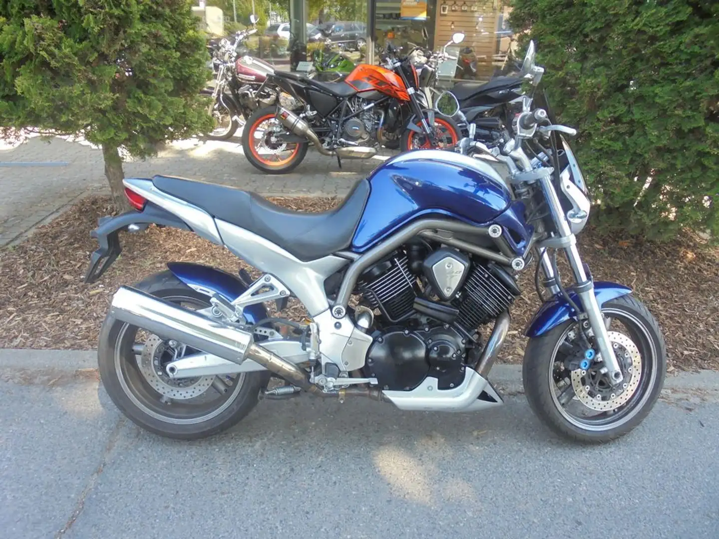 Yamaha BT 1100 Bulldog Blau - 2