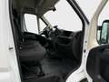 Fiat Ducato 2.2 L3H2 140 Multijet Klima Navi CarPlay Weiß - thumbnail 8
