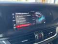 Alfa Romeo Stelvio Stelvio 2.2 Turbodiesel 160 CV AT8 RWD Sprint AUT Blanc - thumbnail 19