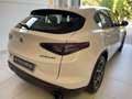 Alfa Romeo Stelvio Stelvio 2.2 Turbodiesel 160 CV AT8 RWD Sprint AUT Blanc - thumbnail 4