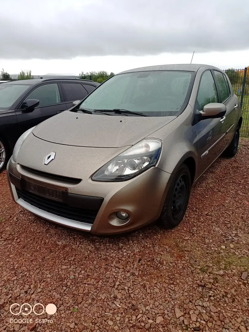 Renault Clio Dynamique Grau - 1
