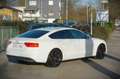 Audi S5 Sportback 3.0 TFSI quattro / ACC / R-Kam./ White - thumbnail 4