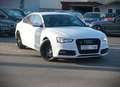 Audi S5 Sportback 3.0 TFSI quattro / ACC / R-Kam./ bijela - thumbnail 15