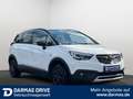 Opel Crossland X Crossland 1,5 CDTI Aut. "120 Jahre" LED Navi - thumbnail 4