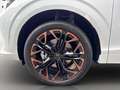 CUPRA Terramar 204 Weiß - thumbnail 8