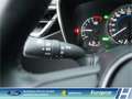 Toyota Corolla Touring Sports Hybrid BusinessEdition Navi ACC DAB Grau - thumbnail 25