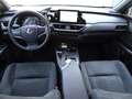 Lexus UX 250h Hybrid Urban Grau - thumbnail 13