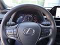 Lexus UX 250h Hybrid Urban Grau - thumbnail 14