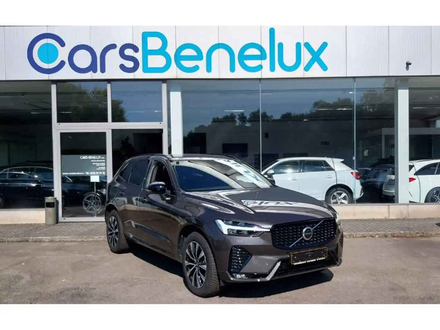 Volvo XC60 2.0 B4 D AWD Plus Dark CUIR MEMO ACC PILOT CAM H&K Gris - 1