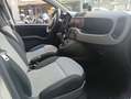 Fiat Panda 1.2 Lounge Blanco - thumbnail 10