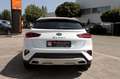 Kia XCeed 1.5T-GDI Xdition LED ACC KAM PANO SHZ NAV Weiß - thumbnail 16