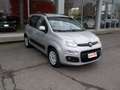 Fiat Panda Panda III 2016 1.2 Easy s Grau - thumbnail 4