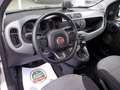 Fiat Panda Panda III 2016 1.2 Easy s Grau - thumbnail 9