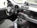 Fiat Panda Panda III 2016 1.2 Easy s Grau - thumbnail 15