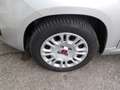Fiat Panda Panda III 2016 1.2 Easy s Grau - thumbnail 16