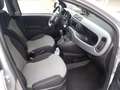 Fiat Panda Panda III 2016 1.2 Easy s Grau - thumbnail 14