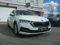 Skoda Octavia Combi Ambition TDI TECHNIKPAKET AHK VORBEREITUNG Weiß - thumbnail 8