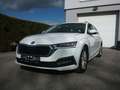 Skoda Octavia Combi Ambition TDI TECHNIKPAKET AHK VORBEREITUNG Weiß - thumbnail 2