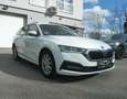 Skoda Octavia Combi Ambition TDI TECHNIKPAKET AHK VORBEREITUNG Weiß - thumbnail 9