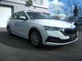 Skoda Octavia Combi Ambition TDI TECHNIKPAKET AHK VORBEREITUNG Weiß - thumbnail 10