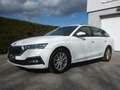 Skoda Octavia Combi Ambition TDI TECHNIKPAKET AHK VORBEREITUNG Weiß - thumbnail 6
