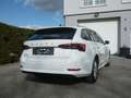 Skoda Octavia Combi Ambition TDI TECHNIKPAKET AHK VORBEREITUNG Weiß - thumbnail 11