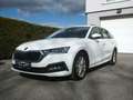 Skoda Octavia Combi Ambition TDI TECHNIKPAKET AHK VORBEREITUNG Weiß - thumbnail 3