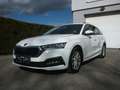 Skoda Octavia Combi Ambition TDI TECHNIKPAKET AHK VORBEREITUNG Weiß - thumbnail 5