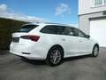 Skoda Octavia Combi Ambition TDI TECHNIKPAKET AHK VORBEREITUNG Weiß - thumbnail 14